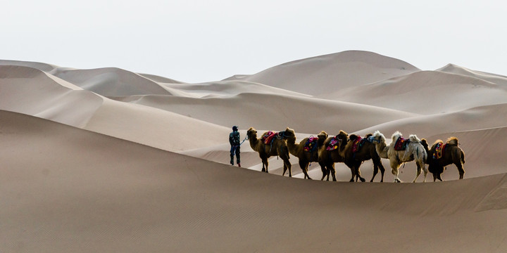 沙丘驼队沙漠