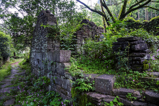 荒芜的山村