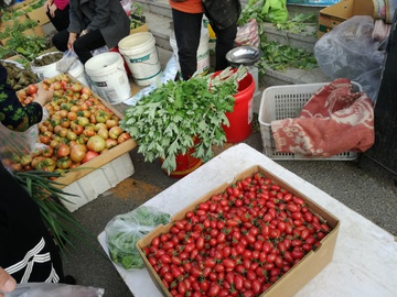 菜市场 早市