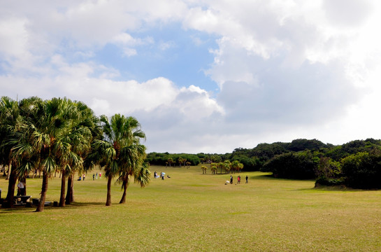 宝岛风光