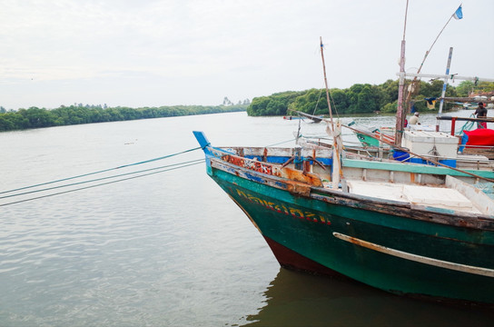 斯里兰卡尼甘布渔村河道和港口