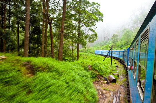 斯里兰卡高山茶园火车