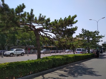 北京街道