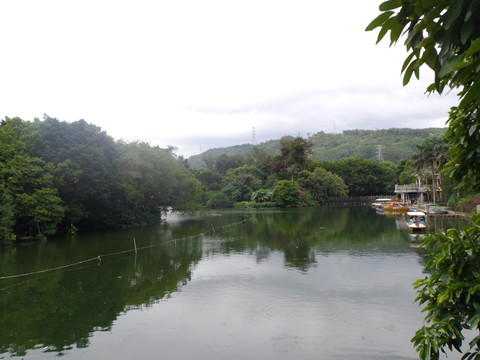 湖光美景