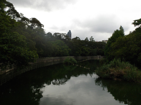 湖光美景