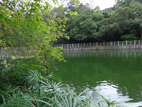 水面风景