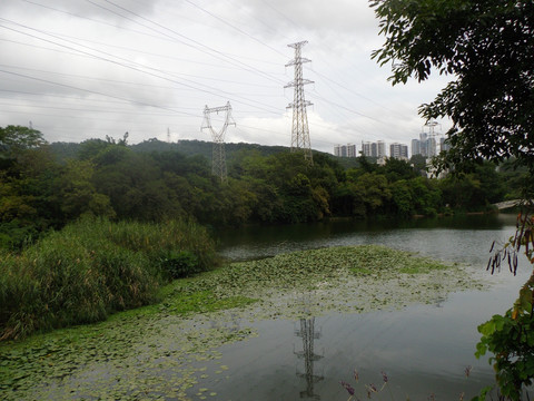 湖面风景