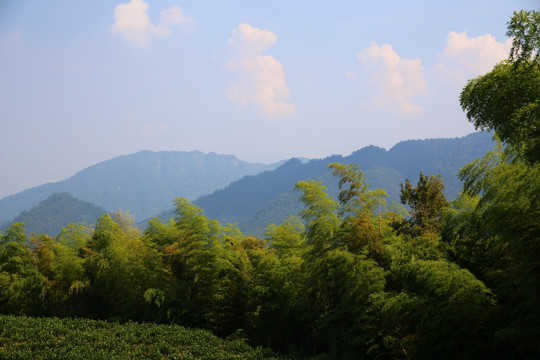 山区自然生态