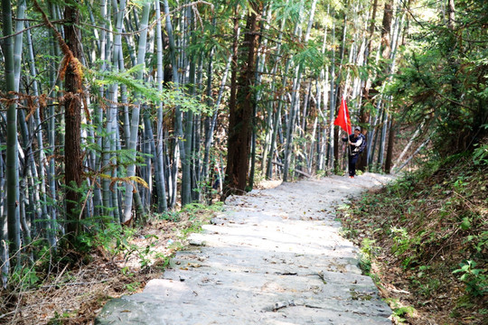 徽州箬岭古道山路