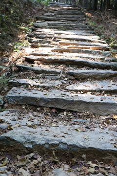 青石板山路 箬岭古道