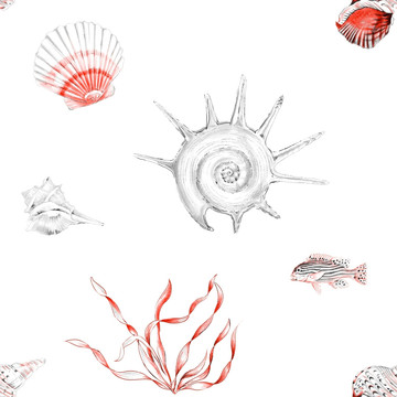贝壳手绘水彩图案