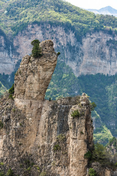 太行山大峡谷八泉峡