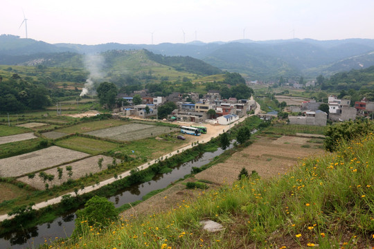 大悟风景