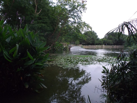 东湖风景