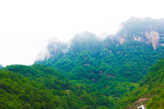 青山 大山