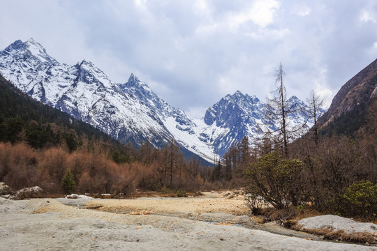 毕棚沟雪山