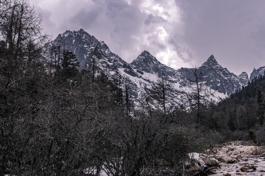 毕棚沟雪山