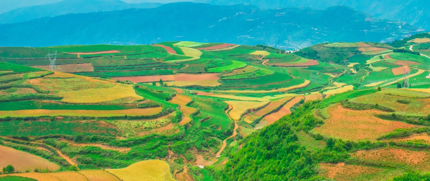 东川红土地