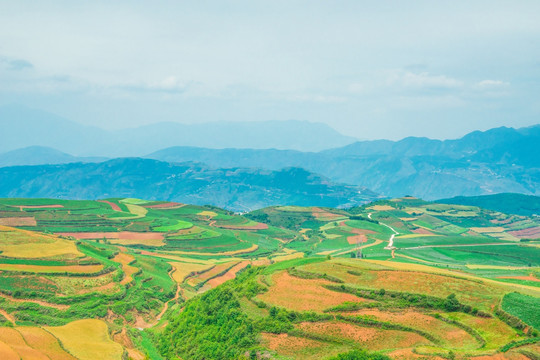 东川红土地