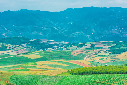 东川红土地