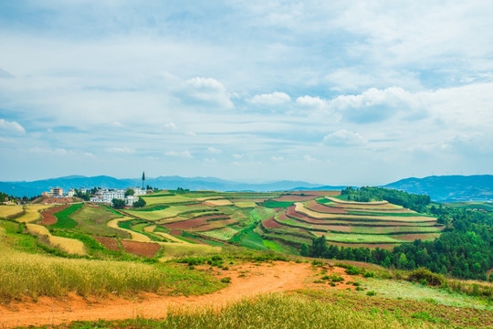 东川红土地