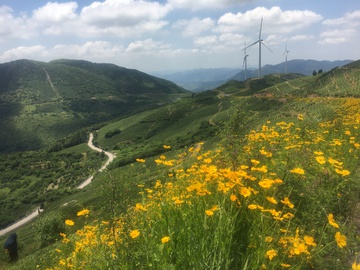 风车 花海 