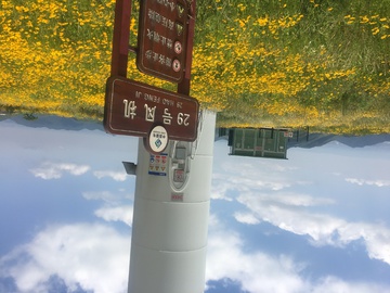 风车 花海 