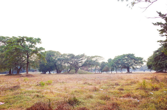 印度加尔各答马坦公园