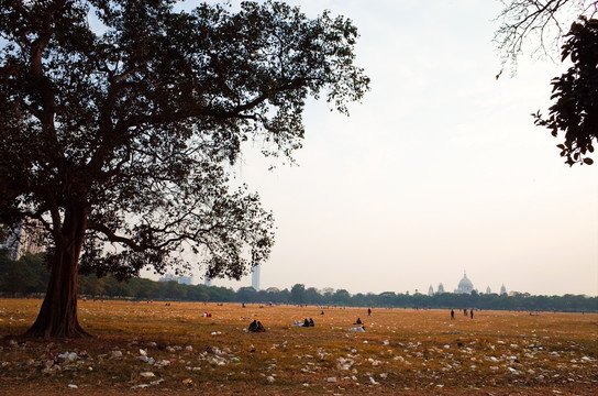 印度加尔各答马坦公园