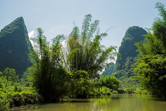 青山绿水竹林