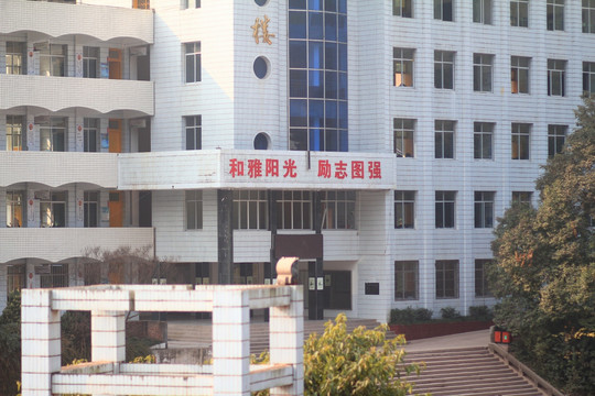 南江县下两中学小学 （5）