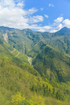 西岭雪山 高清大图