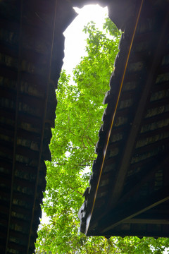 中式庭院 高清大圖
