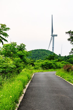 风电场 发电机 风机 风车