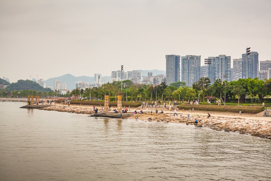 深圳湾公园海岸