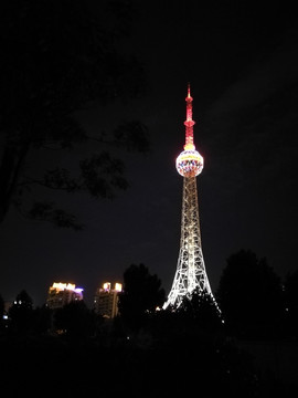 奉贤电视塔 夜景