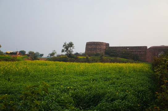 印度奥恰伊斯兰古城堡遗迹