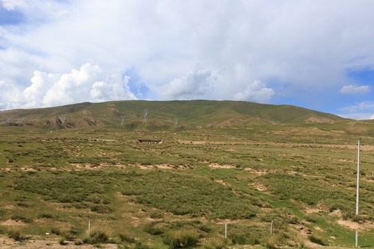 青藏高原 草原风光