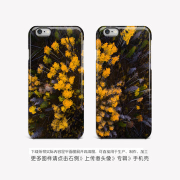油畫花卉 手機(jī)殼設(shè)計(jì)