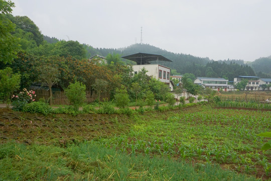 田园风光 乡村村庄