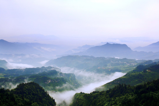 高山云雾