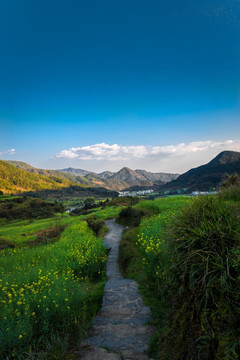 婺源江岭