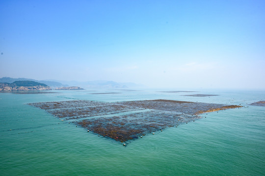 半山海