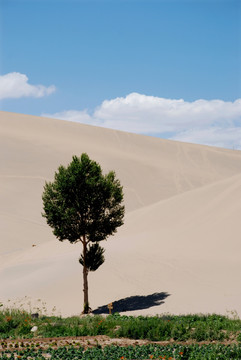 敦煌鸣沙山月牙泉风景区