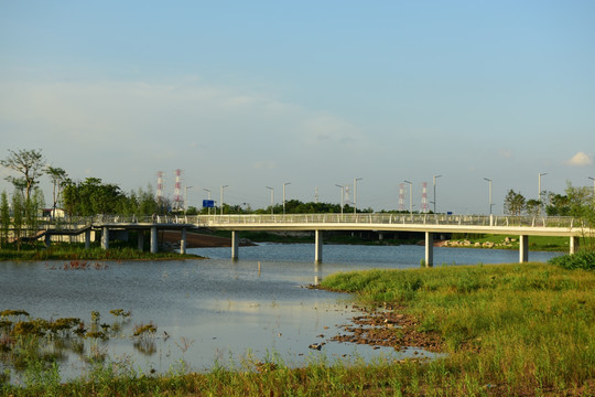 江门北新区 桥