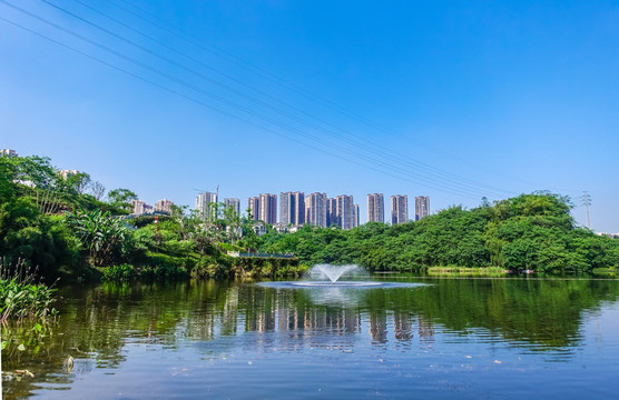 重慶城市風(fēng)光