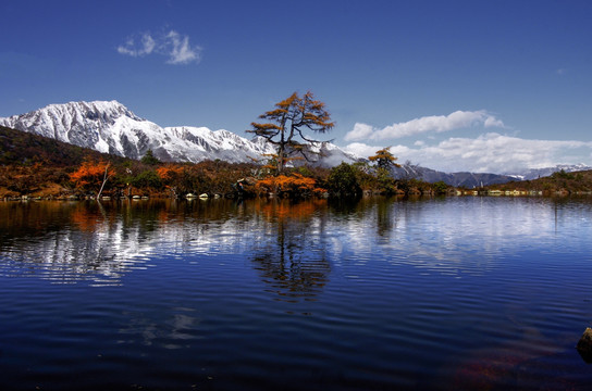 雪山湖泊水中倒影