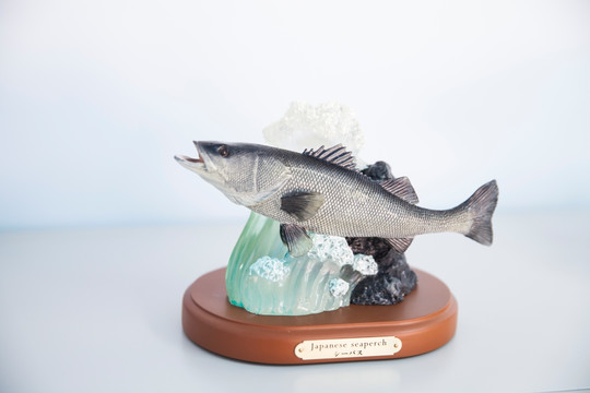 日本海洋鱼标本摆件
