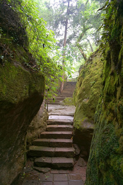 山路 石缝