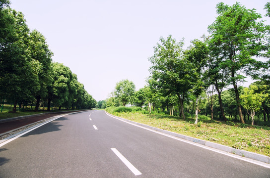 道路